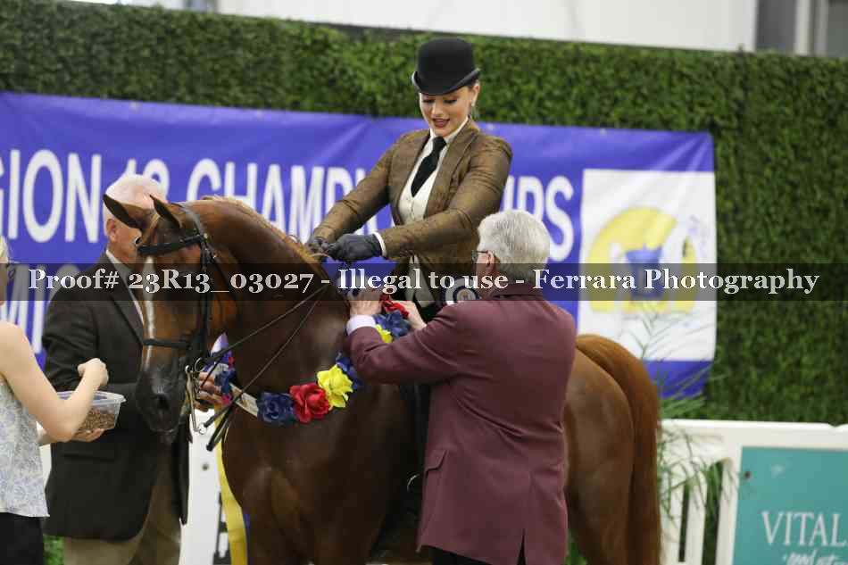 Proof 23R13_03027