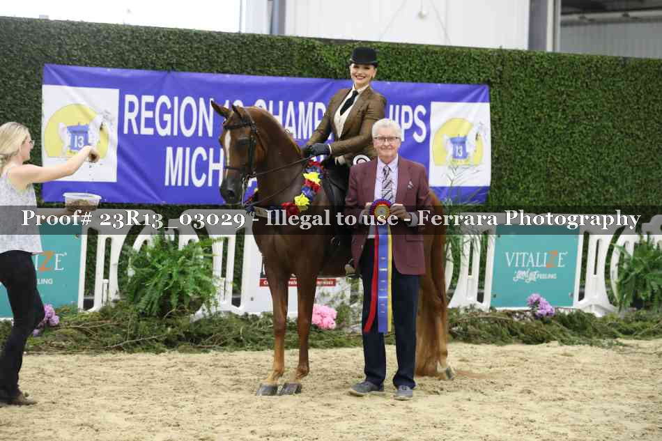 Proof 23R13_03029