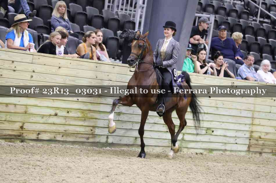 Proof 23R13_03031