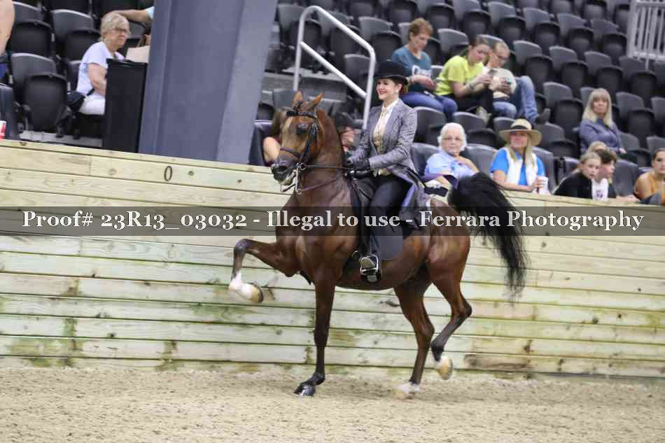 Proof 23R13_03032