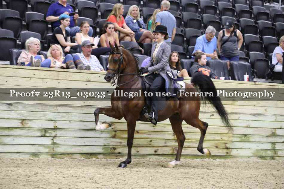 Proof 23R13_03033