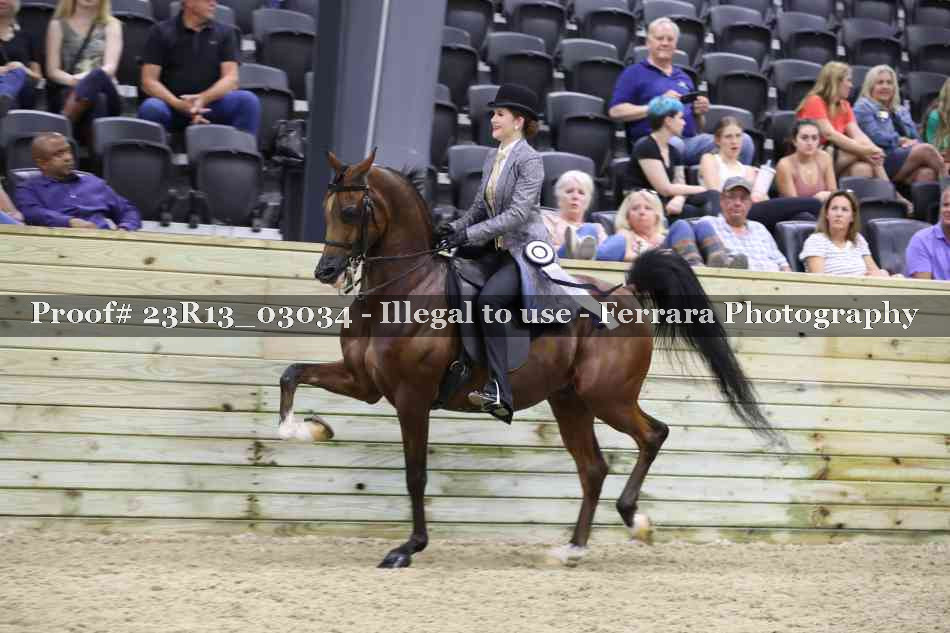 Proof 23R13_03034