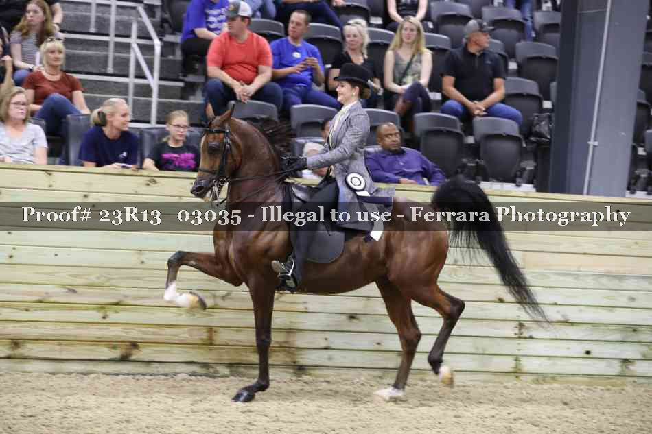 Proof 23R13_03035