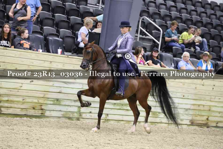 Proof 23R13_03036