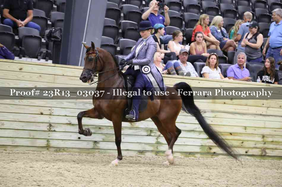 Proof 23R13_03037