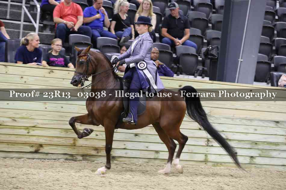 Proof 23R13_03038