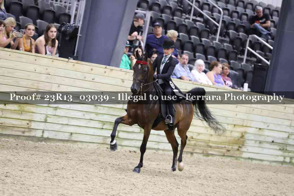 Proof 23R13_03039