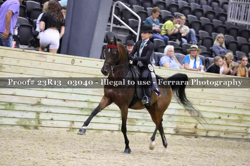 Proof 23R13_03040