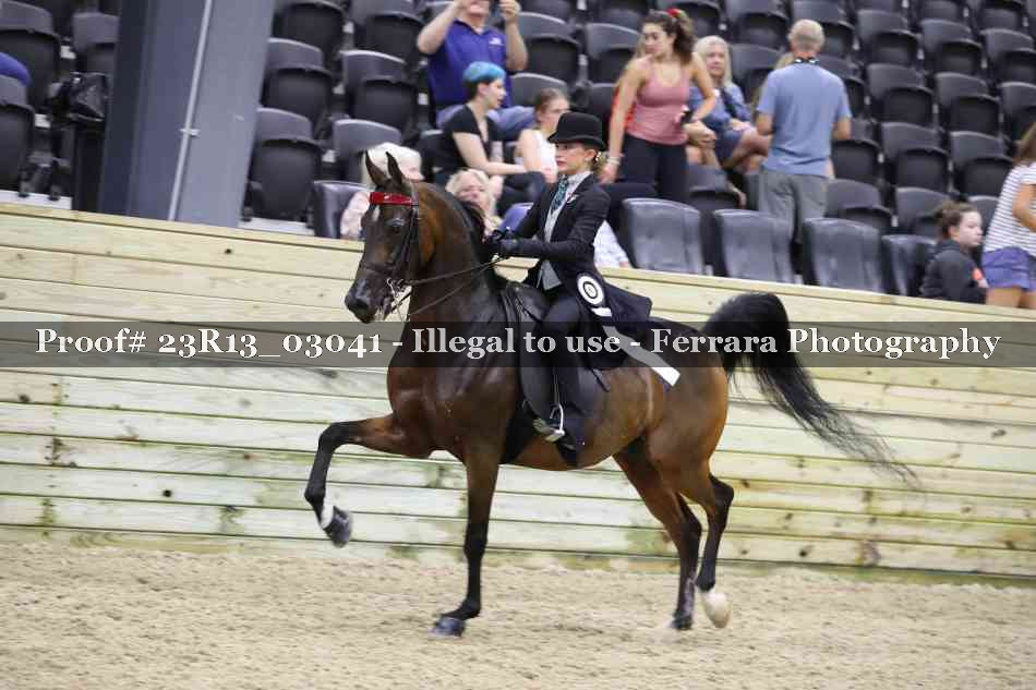 Proof 23R13_03041