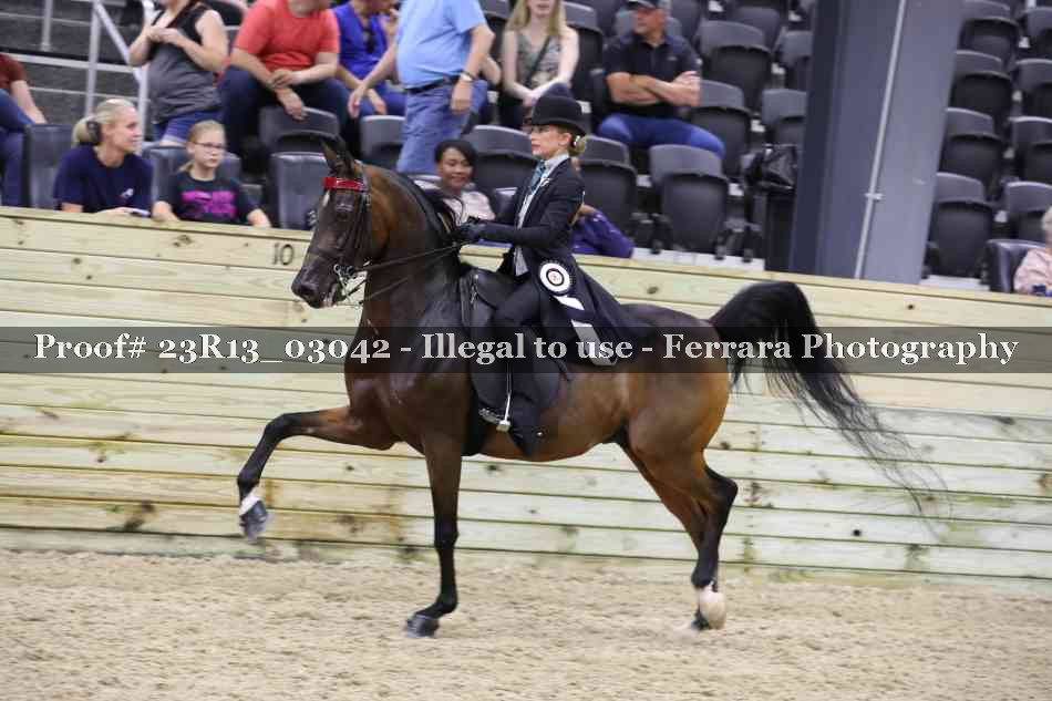 Proof 23R13_03042
