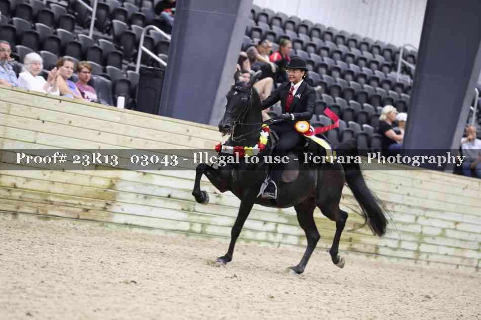 Proof 23R13_03043