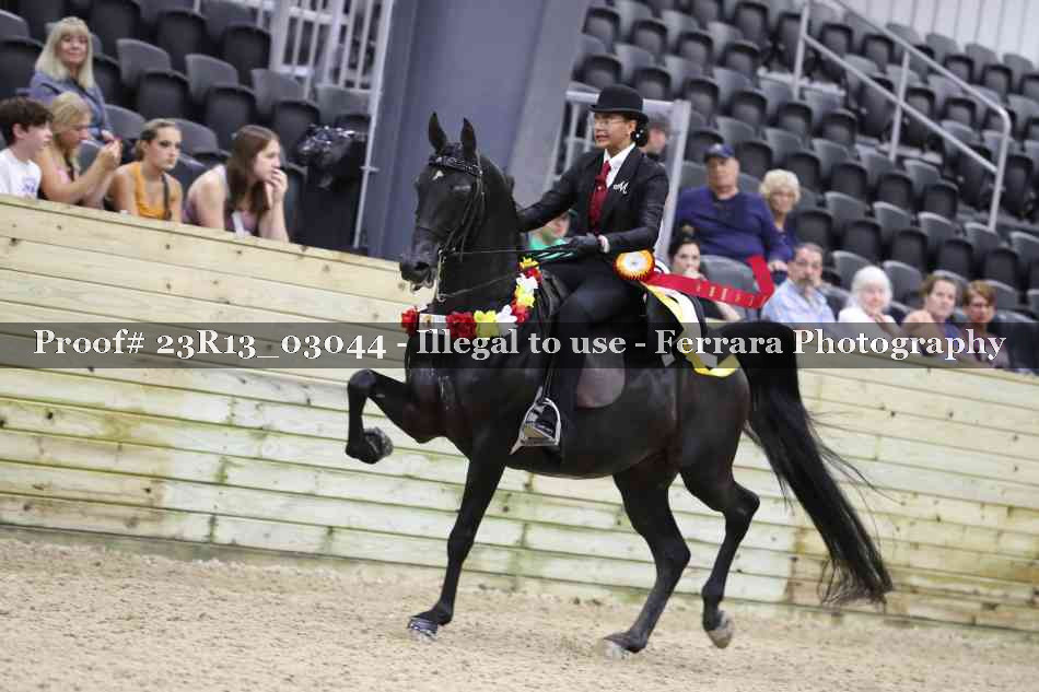 Proof 23R13_03044