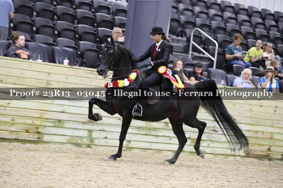 Proof 23R13_03045