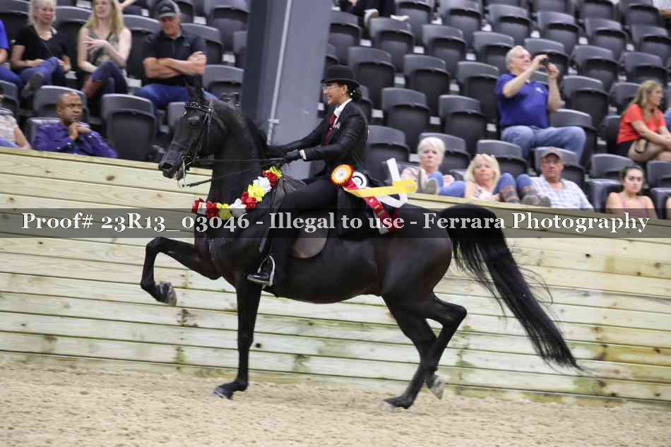 Proof 23R13_03046