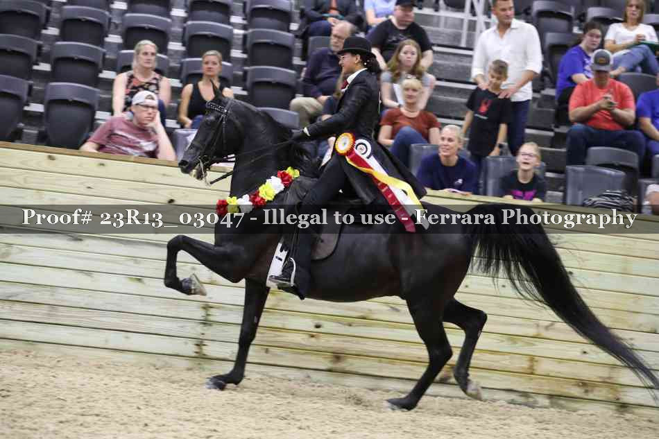 Proof 23R13_03047