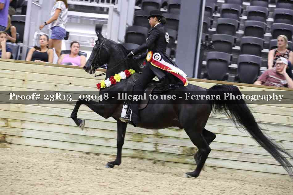 Proof 23R13_03048