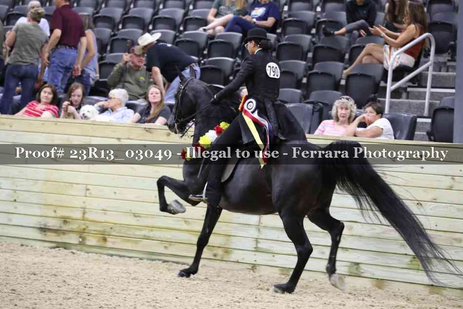 Proof 23R13_03049
