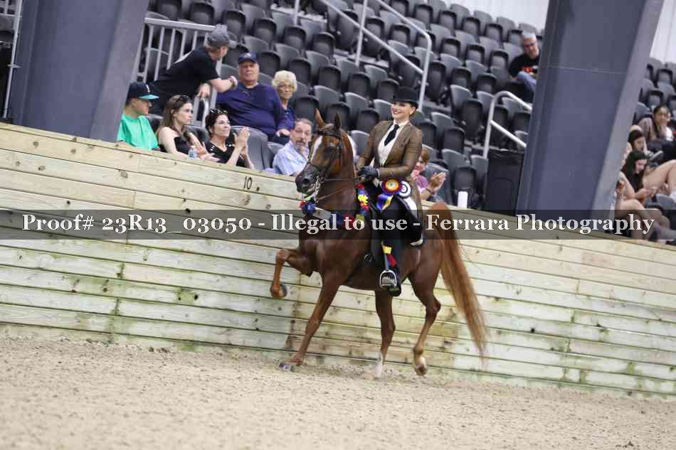 Proof 23R13_03050