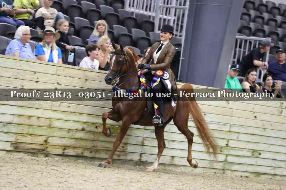Proof 23R13_03051