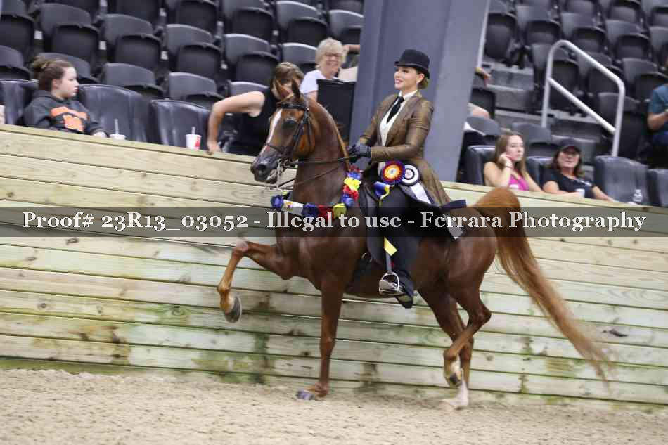 Proof 23R13_03052