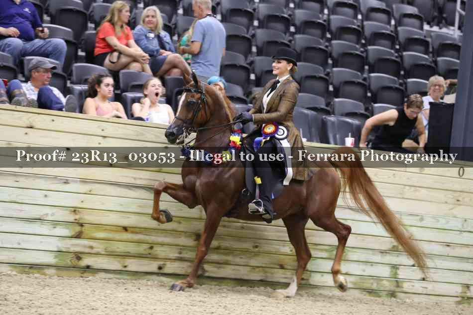 Proof 23R13_03053