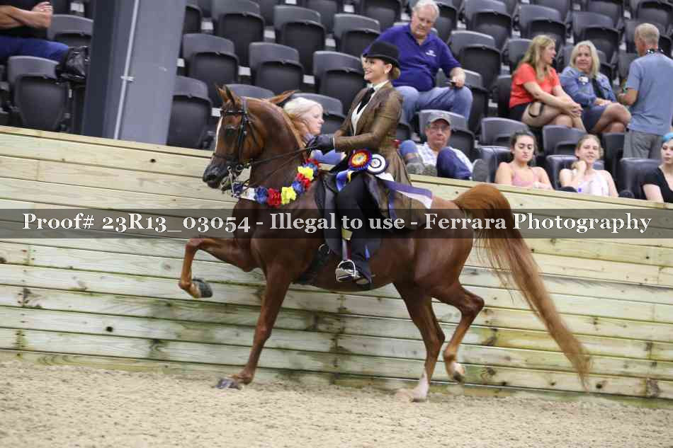 Proof 23R13_03054