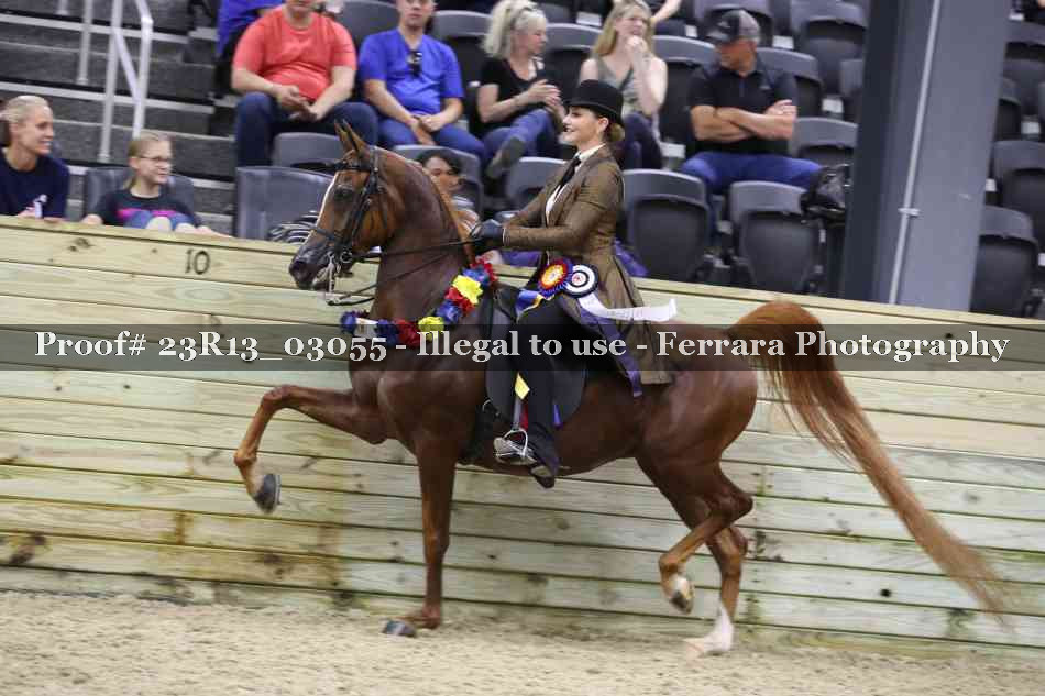 Proof 23R13_03055