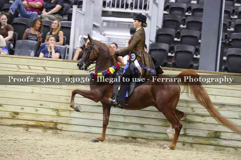 Proof 23R13_03056