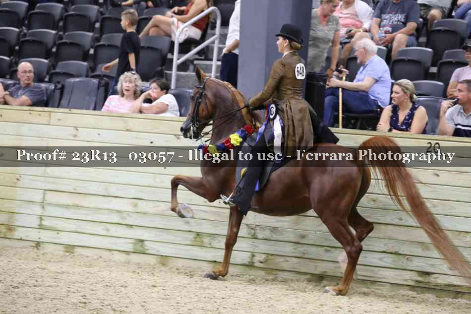 Proof 23R13_03057