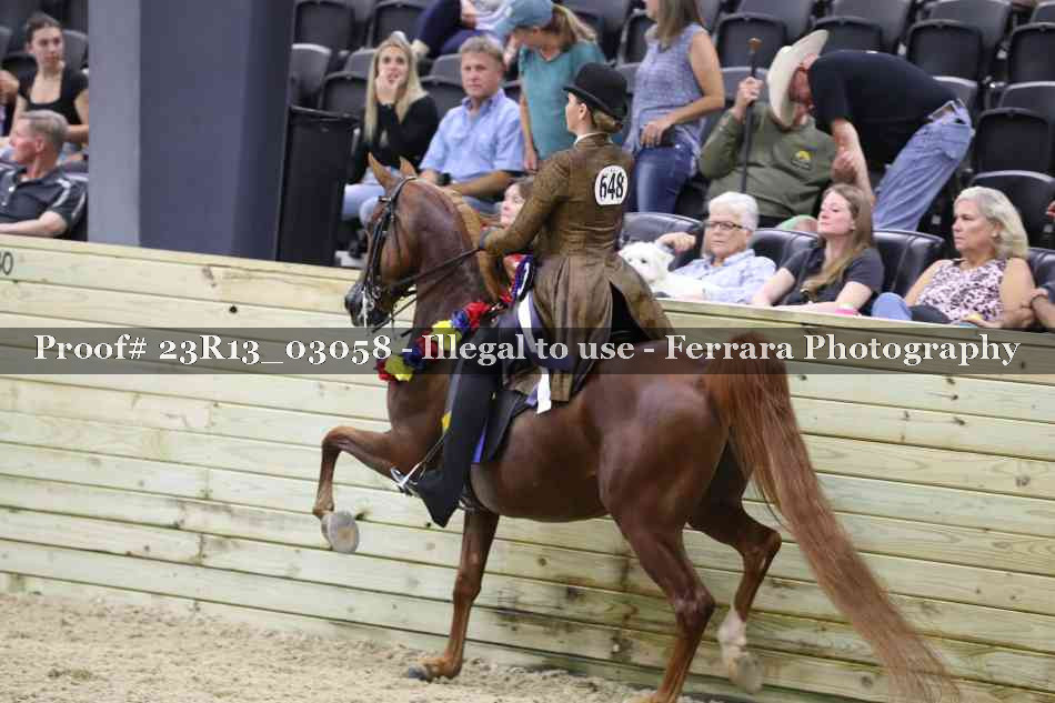 Proof 23R13_03058