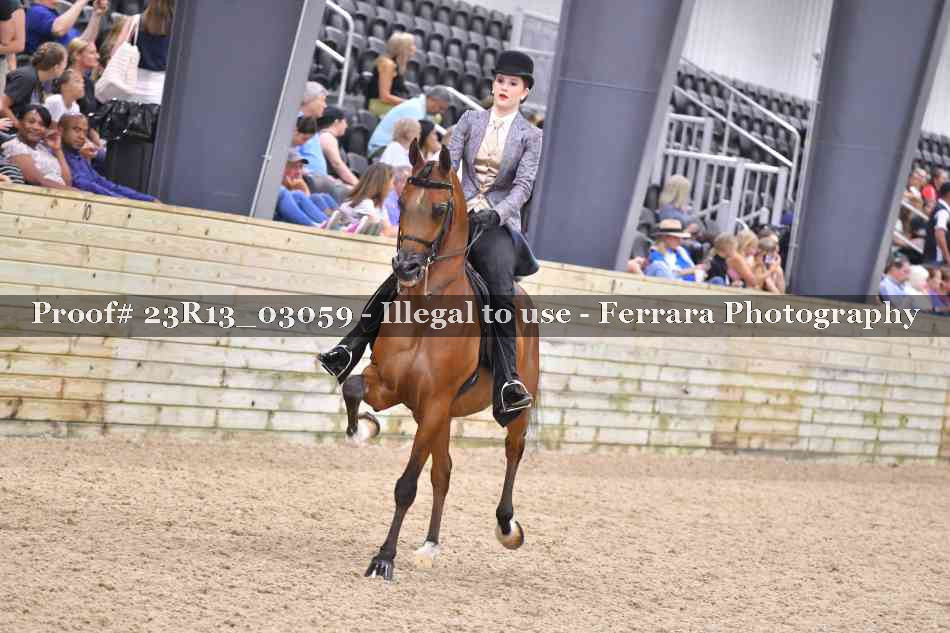 Proof 23R13_03059