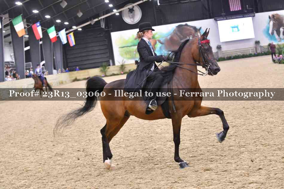 Proof 23R13_03060