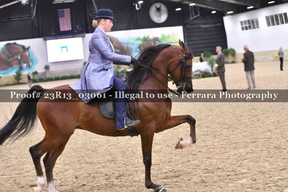 Proof 23R13_03061