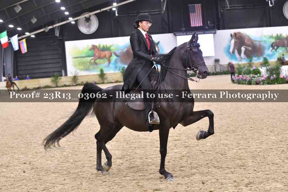 Proof 23R13_03062