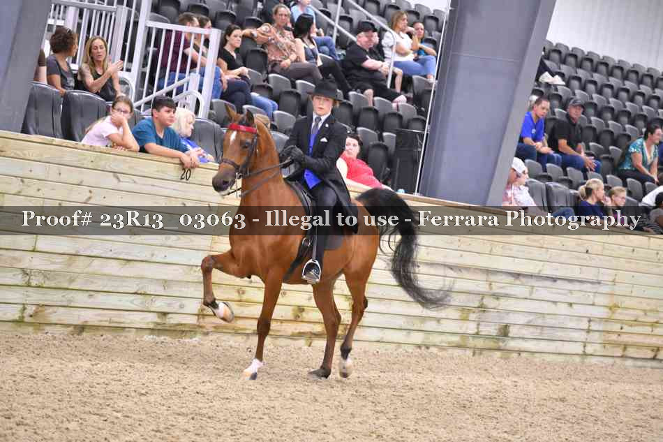 Proof 23R13_03063