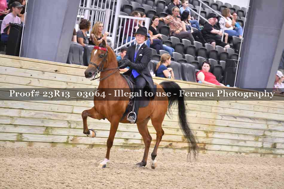 Proof 23R13_03064
