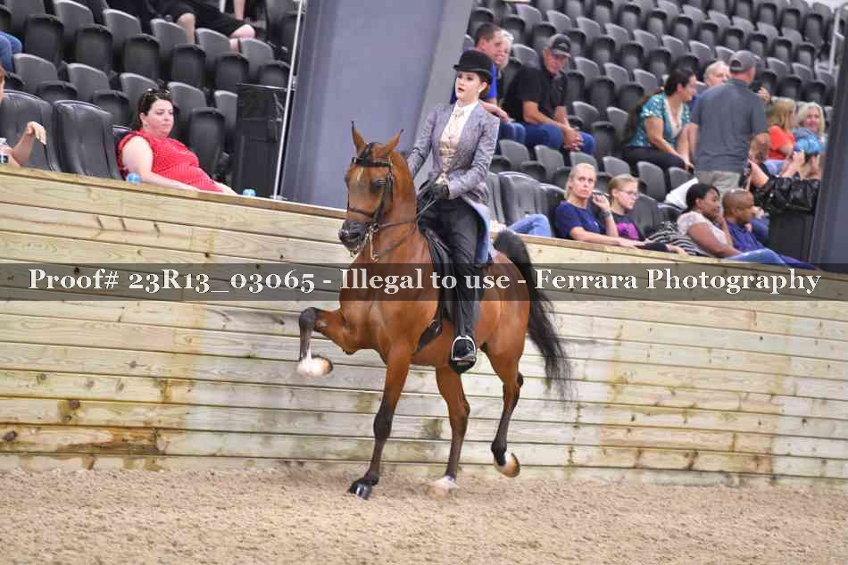 Proof 23R13_03065
