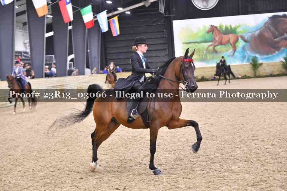 Proof 23R13_03066