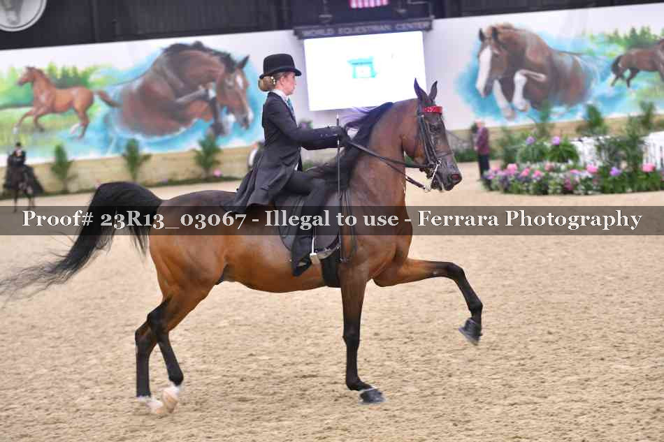 Proof 23R13_03067