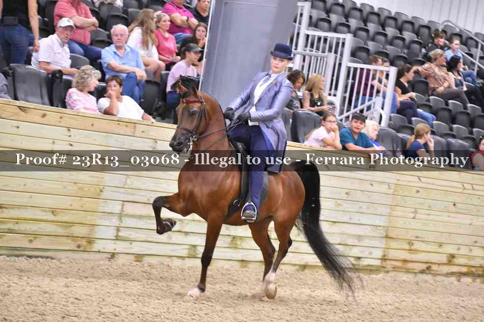 Proof 23R13_03068