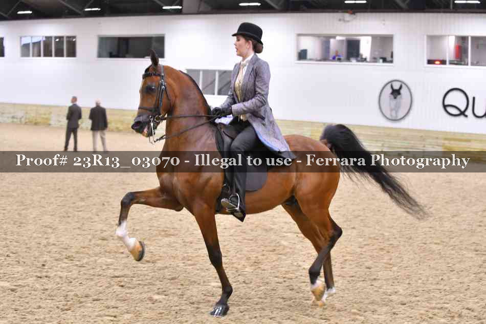 Proof 23R13_03070