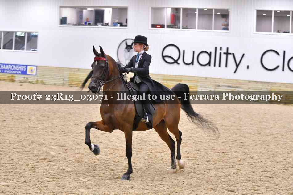 Proof 23R13_03071