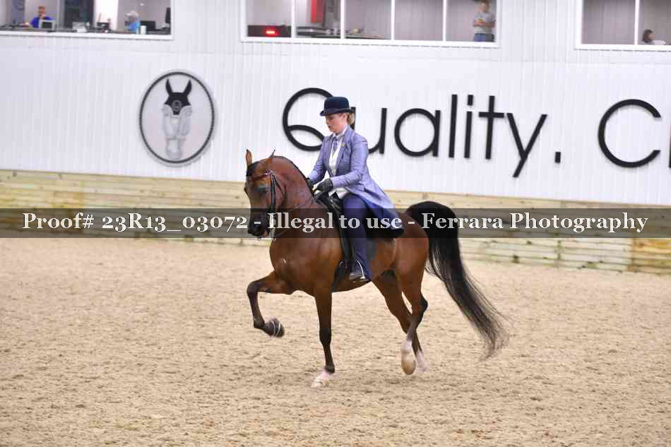 Proof 23R13_03072