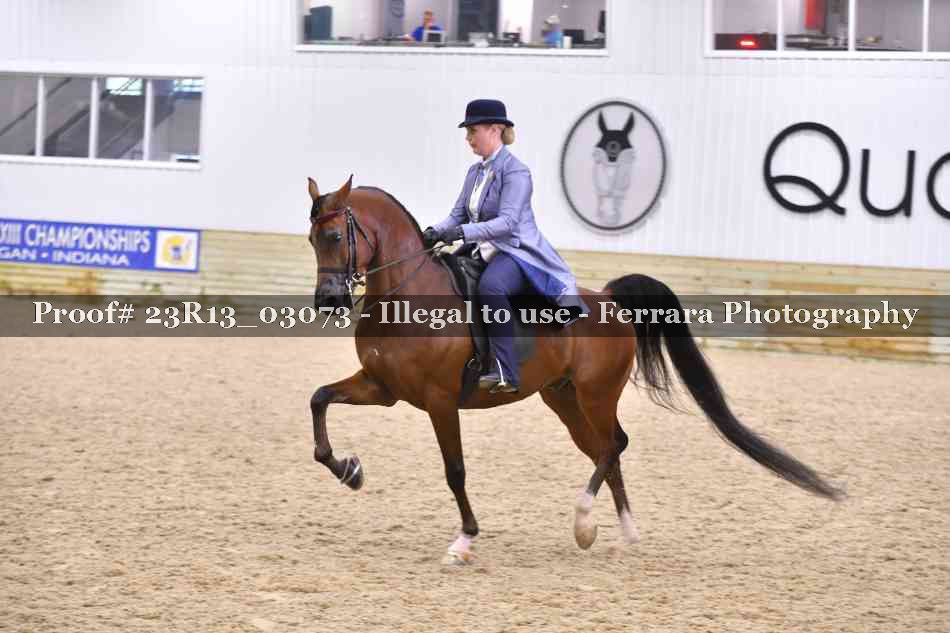 Proof 23R13_03073