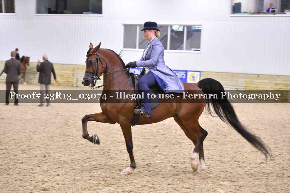 Proof 23R13_03074