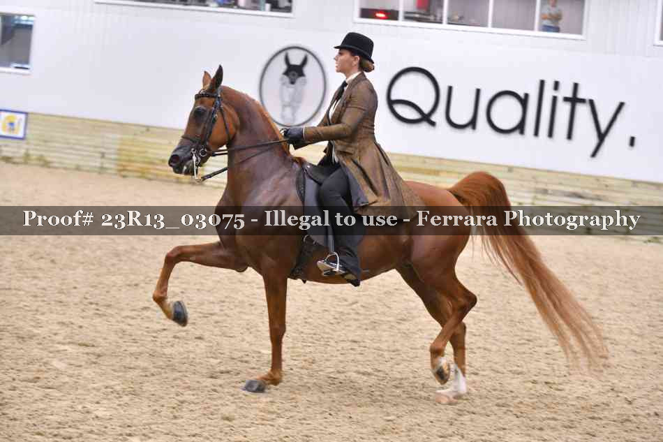 Proof 23R13_03075