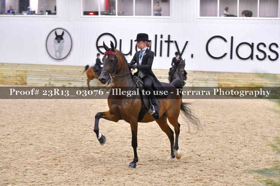 Proof 23R13_03076