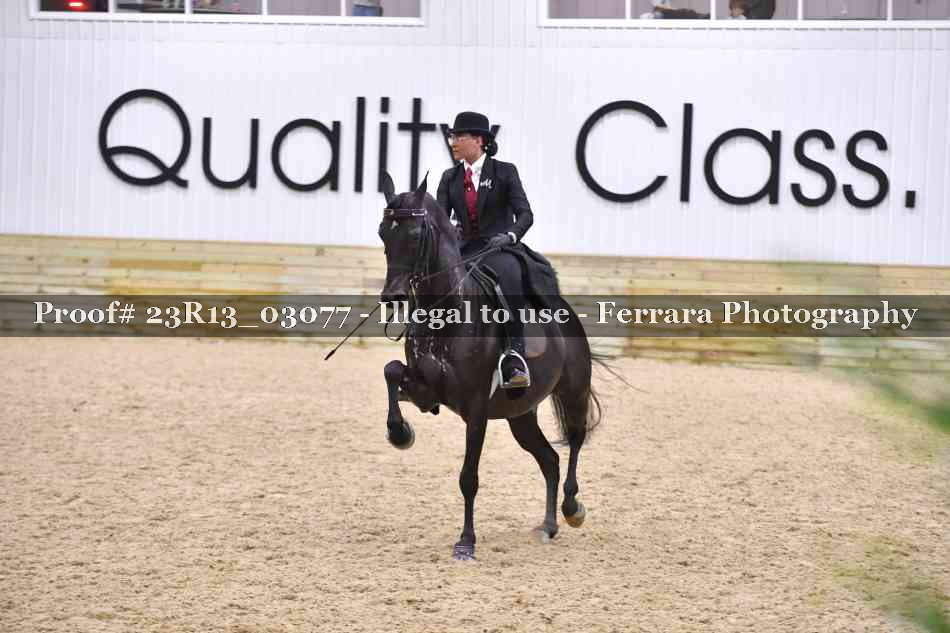 Proof 23R13_03077
