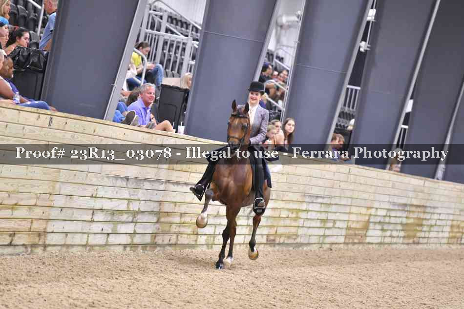 Proof 23R13_03078
