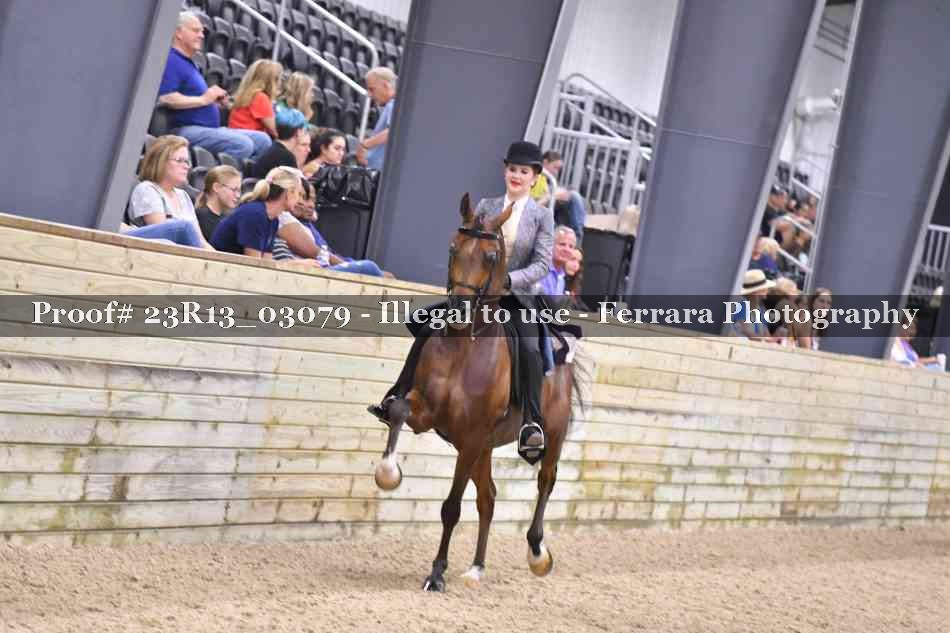 Proof 23R13_03079